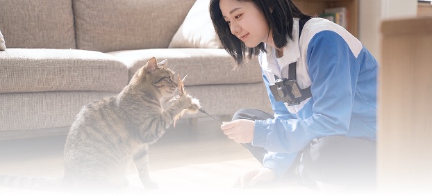 방문 돌봄/산책
