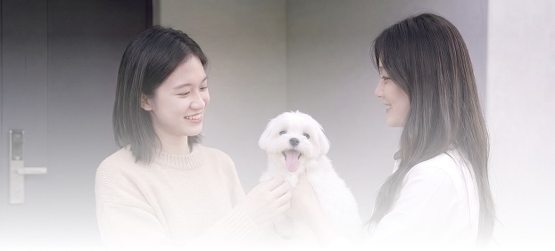 가정집 돌봄