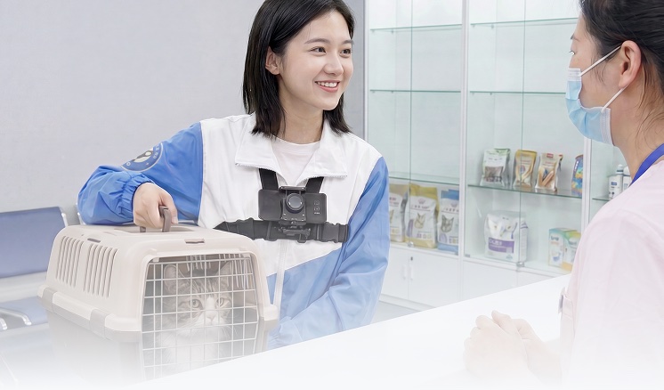 픽업/드랍