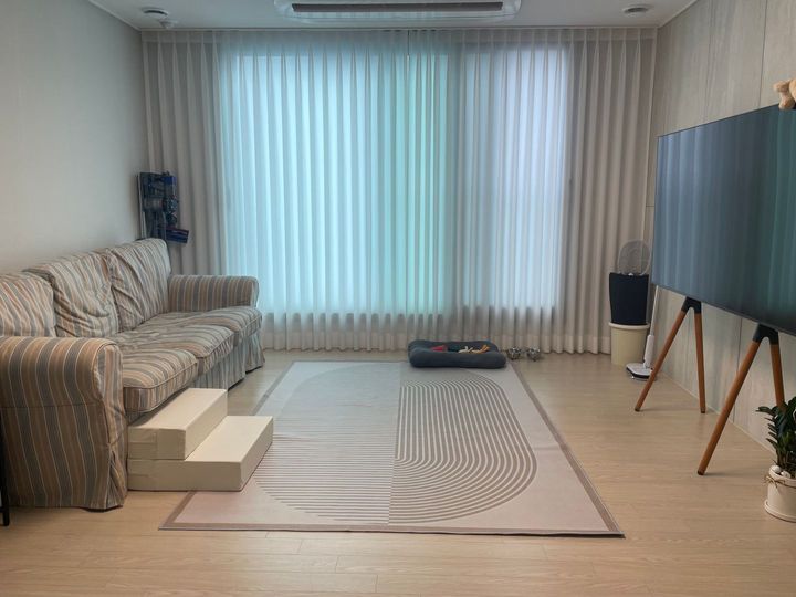 펫시터 환경