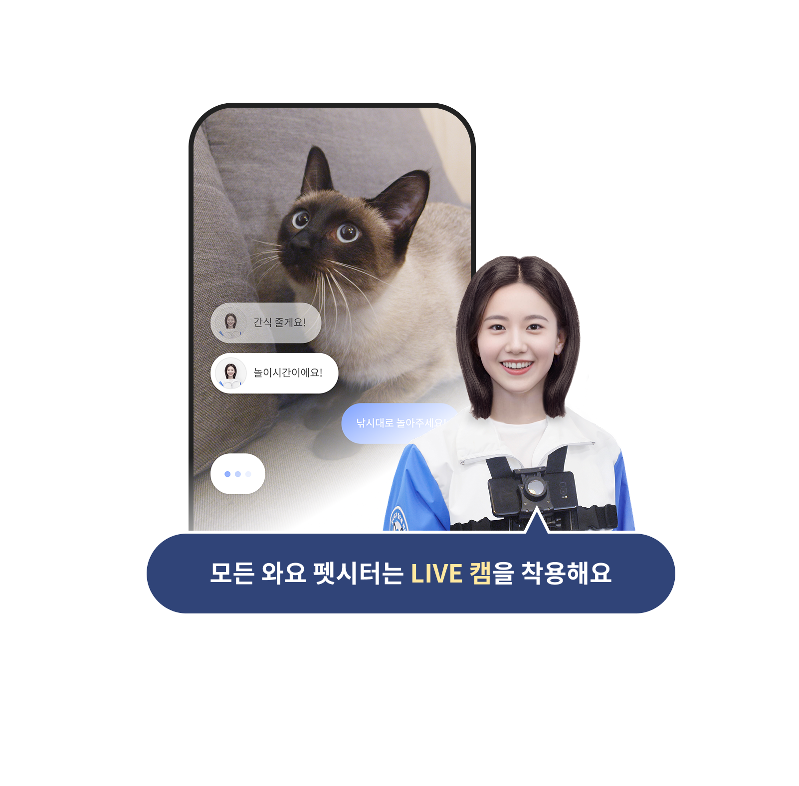 모든 고양이 펫시터는 LIVE캠을 착용해요