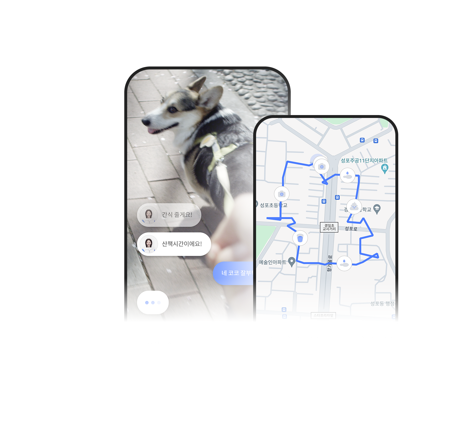 와요 방문 펫시터 앱 LIVE 중계와 산책 GPS