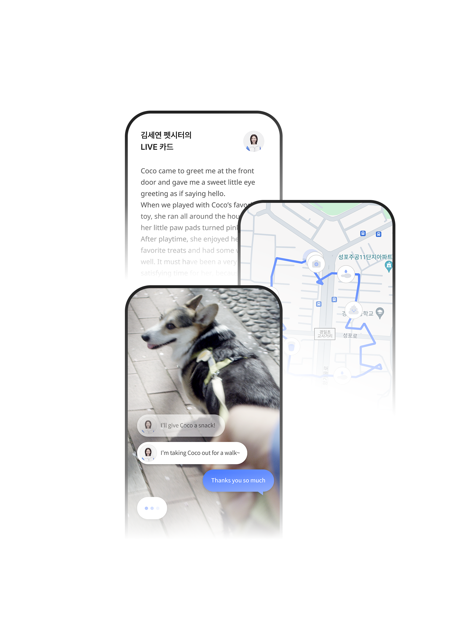 와요 앱 서비스 화면 예시