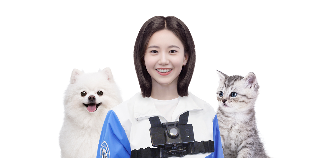 와요 방문 펫시터