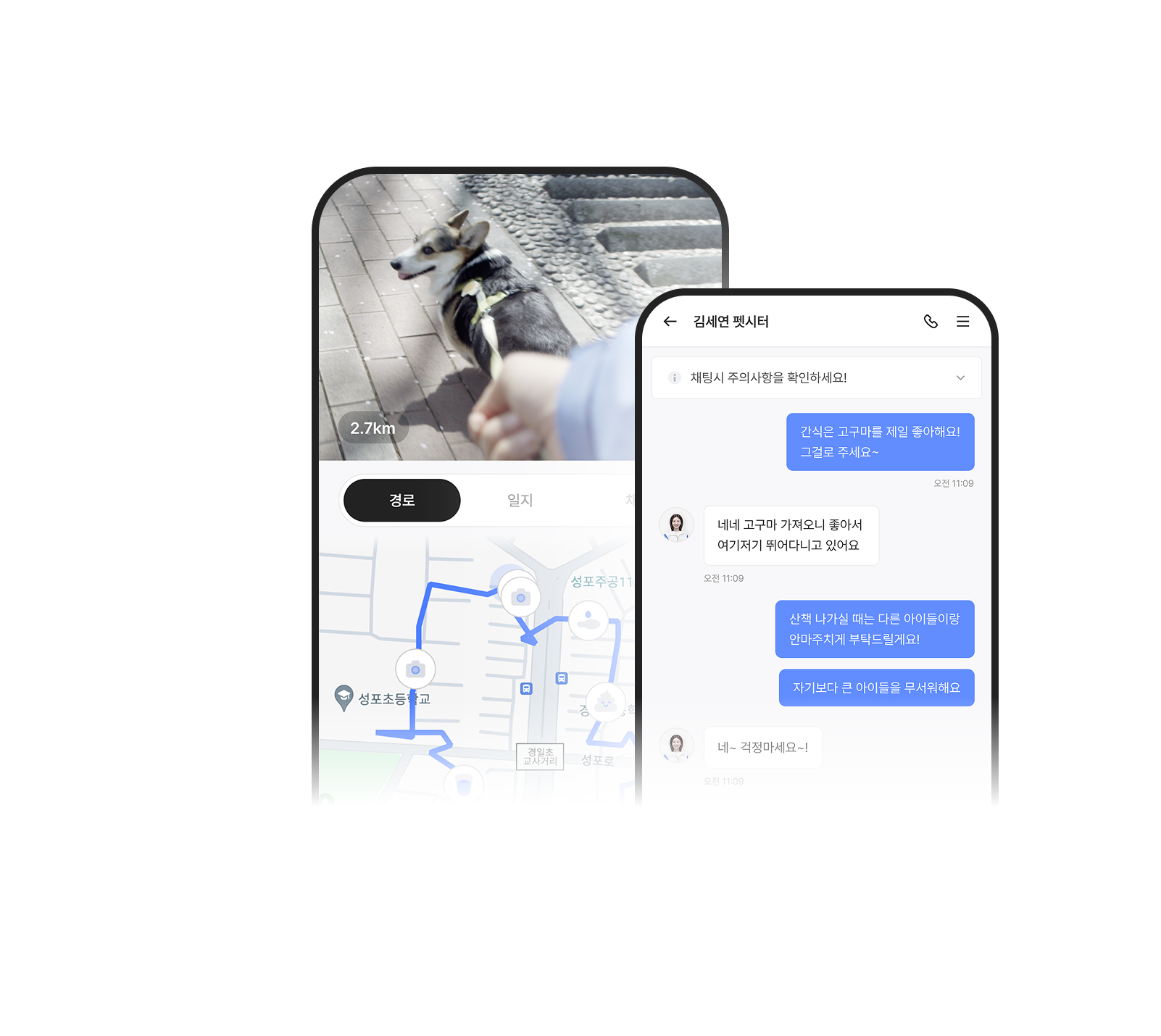 와요 방문 펫시터 앱 LIVE 중계