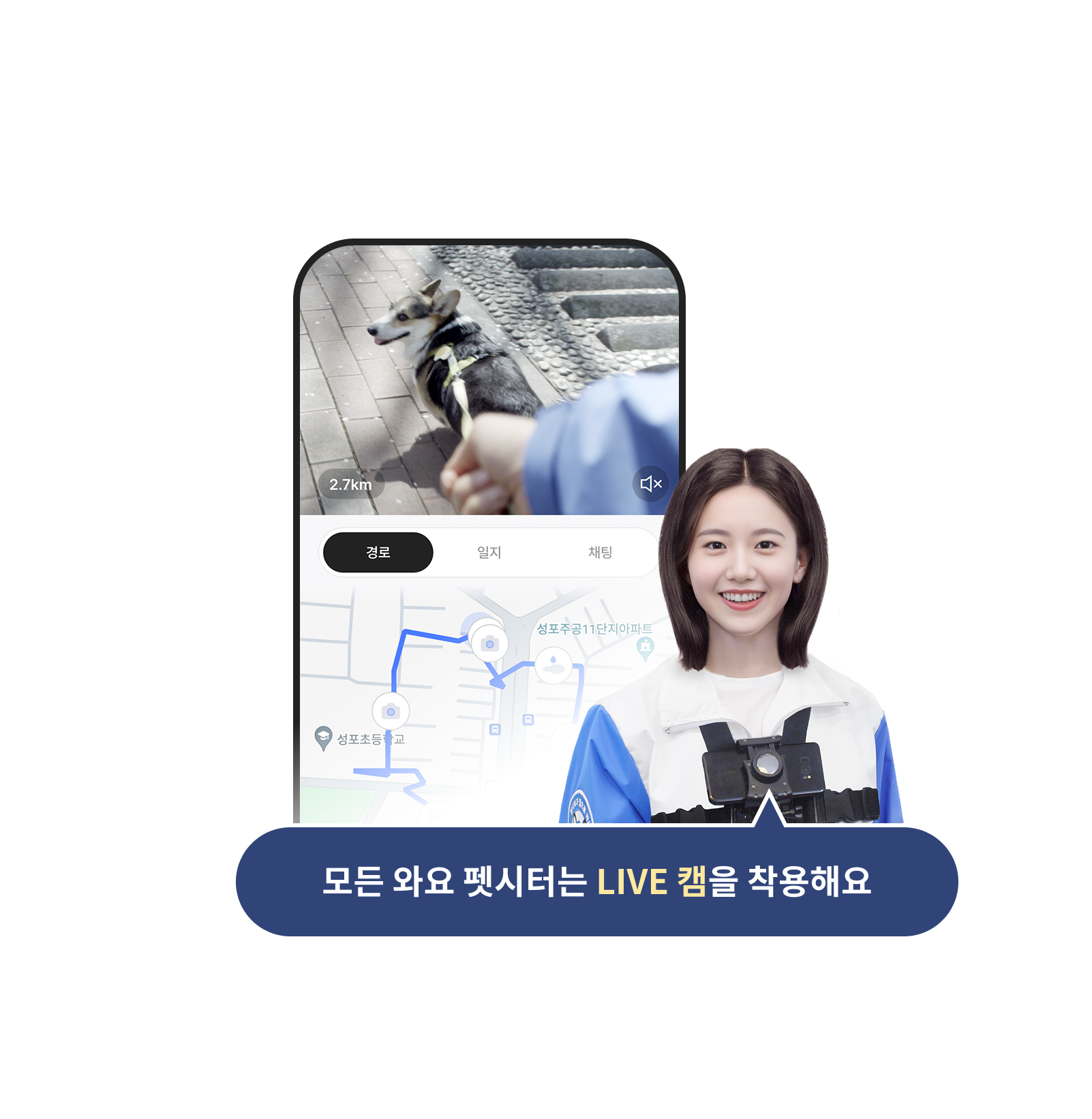 모든 와요 펫시터는 LIVE캠을 착용해요