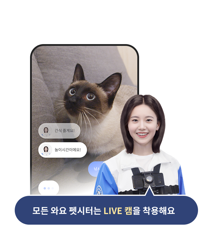 모든 고양이 펫시터는 LIVE캠을 착용해요