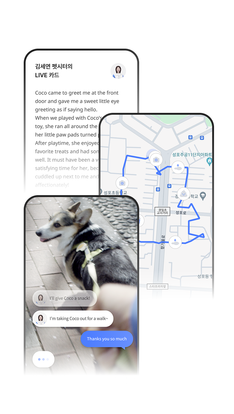 Wayo Pet Sitter Service in Korea - Live Streaming & Trusted Care