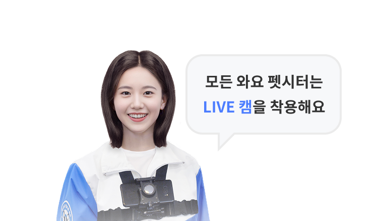 모든 와요 펫시터는 LIVE캠을 착용해요