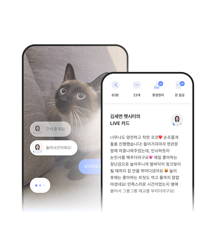 와요 방문 펫시터 앱 LIVE 돌봄 일지