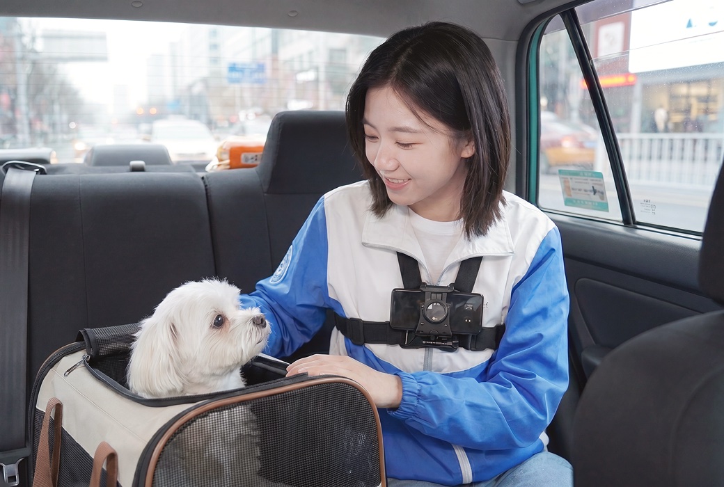 차량으로 반려견을 안전하게 이동시키는 와요 펫시터