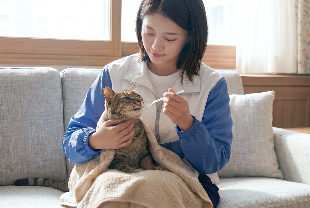 고양이를 안고 컨디션을 살피는 와요 펫시터